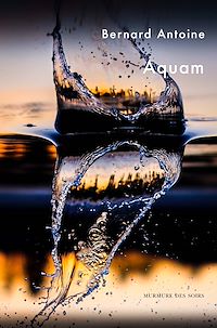 Télécharger le livre :  Aquam