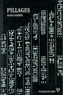Télécharger le livre :  Pillages