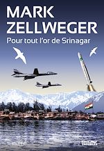 Télécharger le livre :  Pour tout l'or de Srinagar