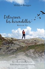 Télécharger le livre :  Détourner les Hirondelles