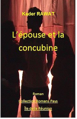 Télécharger le livre :  Les gens de la colonie. Tome 2 : L'épouse et la concubine