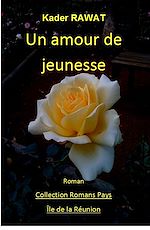 Télécharger le livre :  Une femme ambitieuse. Tome 1 : Un amour de jeunesse
