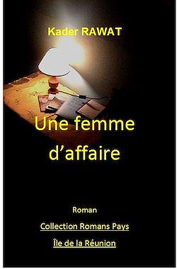 Télécharger le livre :  Une femme ambitieuse. Tome 3 : Une femme d'affaire
