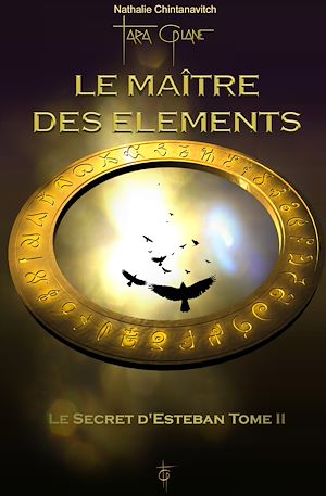 Download the eBook: Le maître des éléments - Le Secret d'Esteban Tome 2