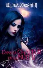 Télécharger le livre :  Dans La Chaleur de la Nuit II