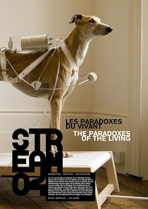 Téléchargez le livre :  Stream 04