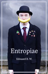 Download this ebook Entropiae EN