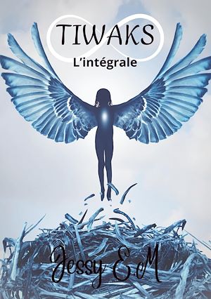 Téléchargez le livre :  TIWAKS - l'Intégrale