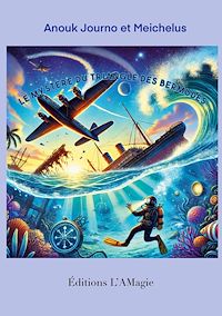 Téléchargez le livre :  Le mystère du Triangle des Bermudes