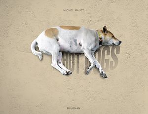 Téléchargez le livre :  Hot Dogs