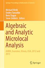 Télécharger le livre :  Algebraic and Analytic Microlocal Analysis