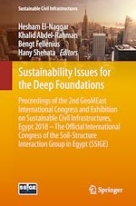 Télécharger le livre :  Sustainability Issues for the Deep Foundations