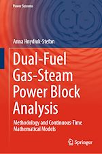 Télécharger le livre :  Dual-Fuel Gas-Steam Power Block Analysis