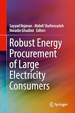 Télécharger le livre :  Robust Energy Procurement of Large Electricity Consumers