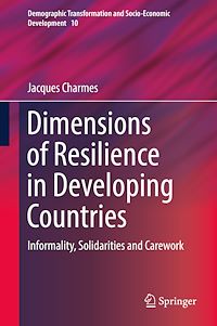 Télécharger le livre :  Dimensions of Resilience in Developing Countries