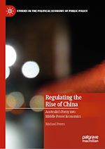 Download this eBook Regulating the Rise of China