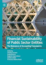 Télécharger le livre :  Financial Sustainability of Public Sector Entities