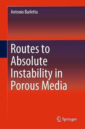Téléchargez le livre :  Routes to Absolute Instability in Porous Media