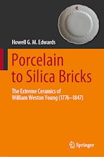 Télécharger le livre :  Porcelain to Silica Bricks