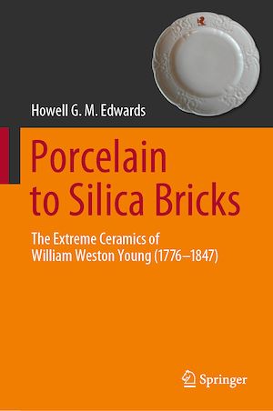 Téléchargez le livre :  Porcelain to Silica Bricks