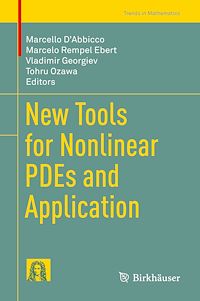 Télécharger le livre :  New Tools for Nonlinear PDEs and Application