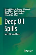 Télécharger le livre :  Deep Oil Spills
