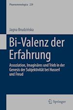 Télécharger le livre :  Bi-Valenz der Erfahrung