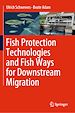 Télécharger le livre :  Fish Protection Technologies and Fish Ways for Downstream Migration
