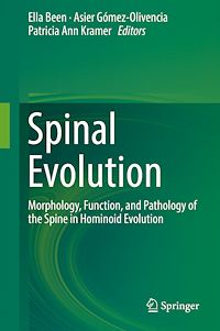 Télécharger le livre :  Spinal Evolution