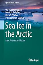 Download this eBook Sea Ice in the Arctic