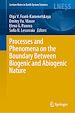 Télécharger le livre :  Processes and Phenomena on the Boundary Between Biogenic and Abiogenic Nature