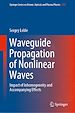 Télécharger le livre :  Waveguide Propagation of Nonlinear Waves