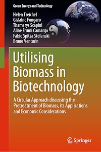 Télécharger le livre :  Utilising Biomass in Biotechnology