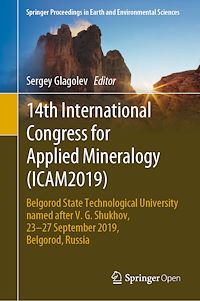 Télécharger le livre :  14th International Congress for Applied Mineralogy (ICAM2019)
