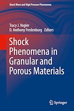 Télécharger le livre :  Shock Phenomena in Granular and Porous Materials