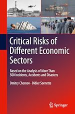 Télécharger le livre :  Critical  Risks of Different Economic Sectors