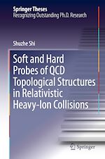 Télécharger le livre :  Soft and Hard Probes of QCD Topological Structures in Relativistic Heavy-Ion Collisions
