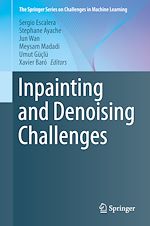 Download this eBook Inpainting and Denoising Challenges