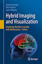 Télécharger le livre :  Hybrid Imaging and Visualization