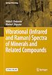 Télécharger le livre :  Vibrational (Infrared and Raman) Spectra of Minerals and Related Compounds