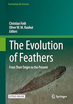 Download this eBook The Evolution of Feathers