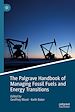 Télécharger le livre :  The Palgrave Handbook of Managing Fossil Fuels and Energy Transitions