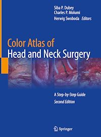 Télécharger le livre :  Color Atlas of Head and Neck Surgery