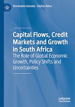 Télécharger le livre :  Capital Flows, Credit Markets and Growth in South Africa