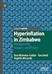 Télécharger le livre :  Hyperinflation in Zimbabwe