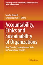 Télécharger le livre :  Accountability, Ethics and Sustainability of Organizations