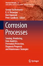 Télécharger le livre :  Corrosion Processes