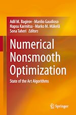 Télécharger le livre :  Numerical Nonsmooth Optimization