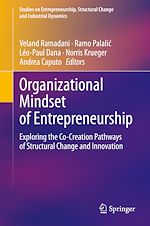 Télécharger le livre :  Organizational Mindset of Entrepreneurship