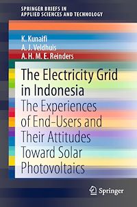 Télécharger le livre :  The Electricity Grid in Indonesia